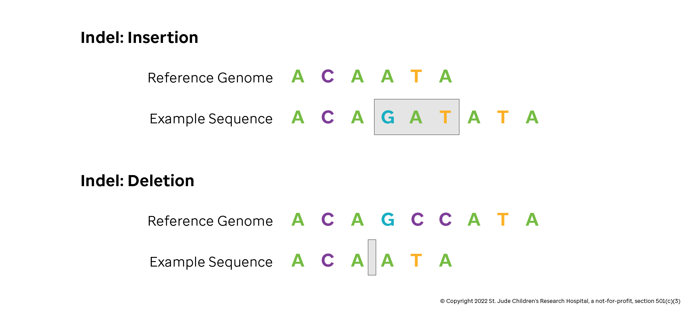 insertions-and-deletions-introduction-to-genomics-for-engineers