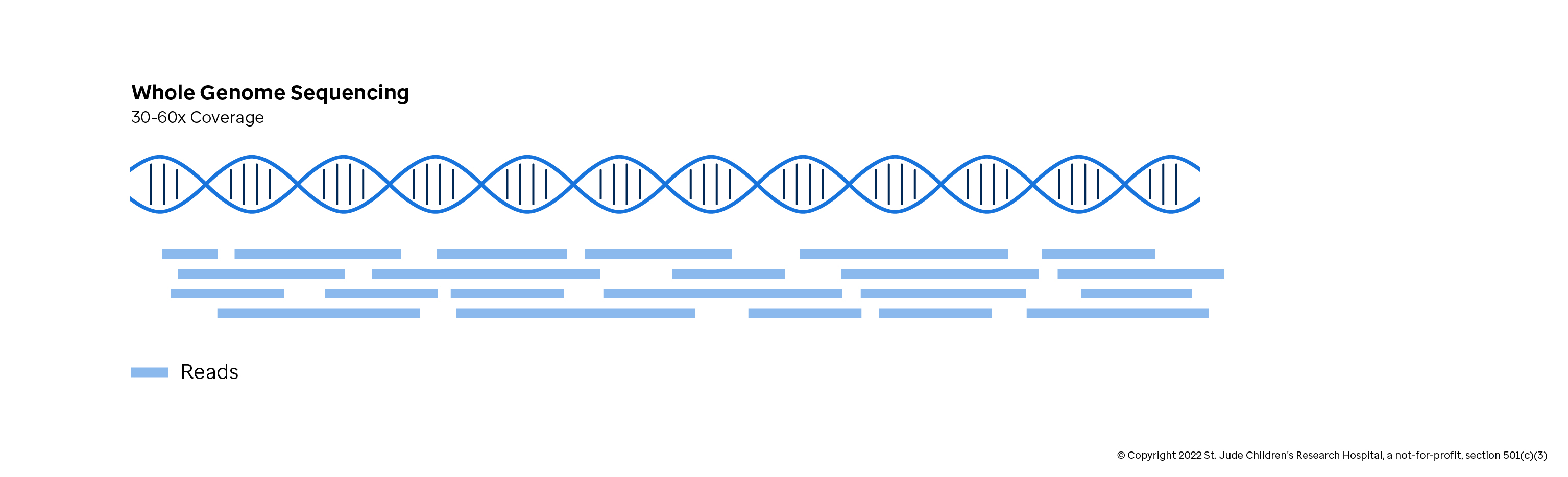 Types of Sequencing Introduction to Genomics for Engineers