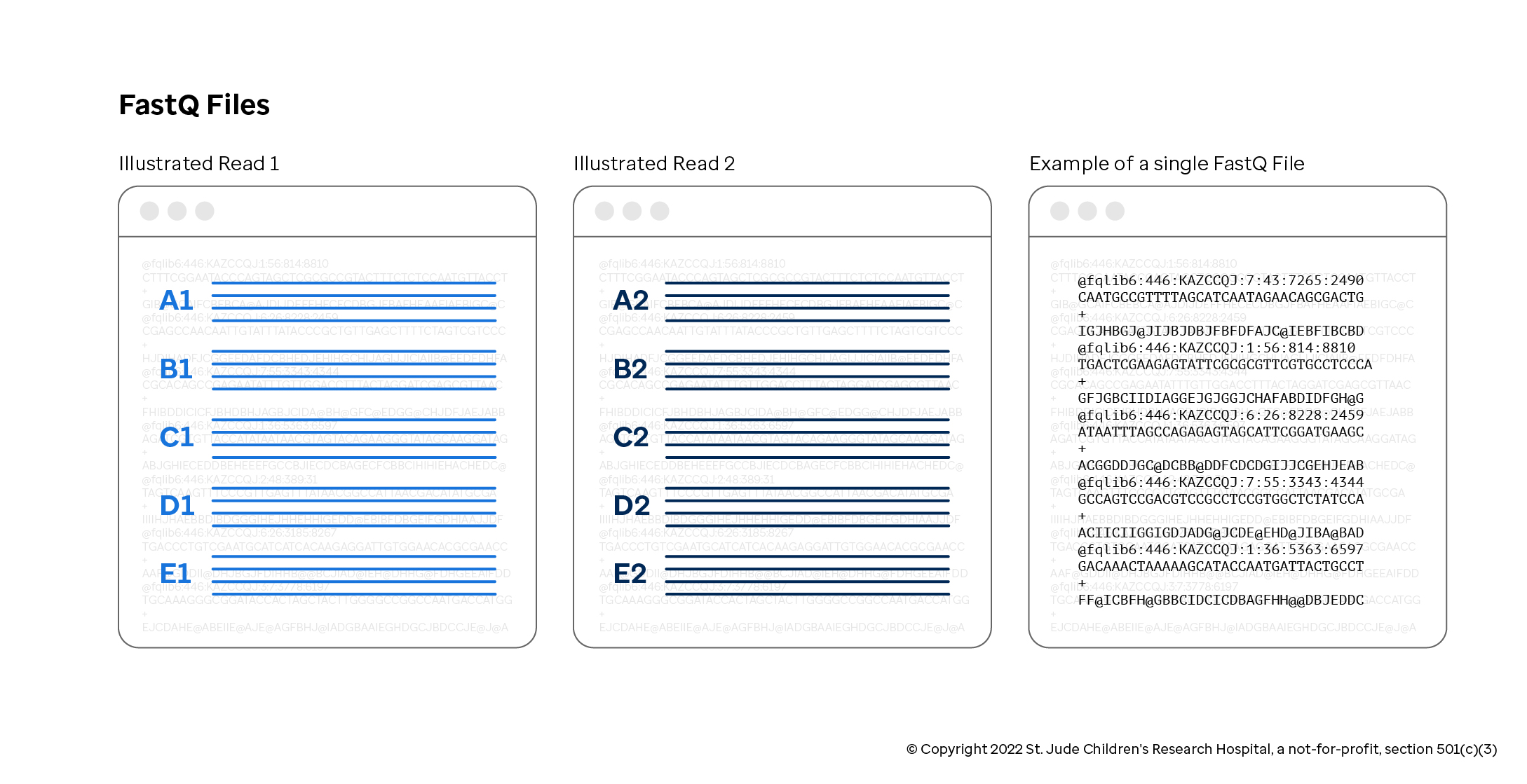 Depiction of a symbolic pair of FASTQ files followed by a single FASTQ file example